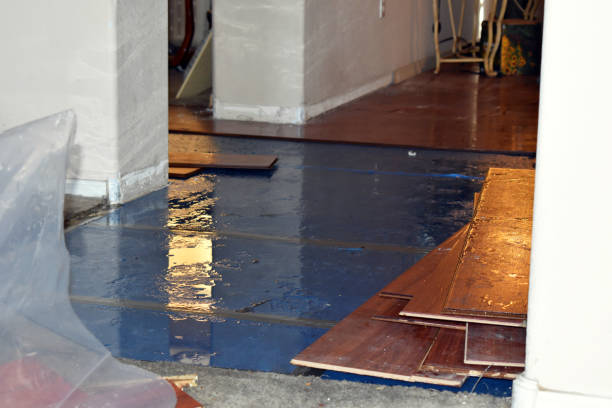 Professional Basement Flood Cleanup technician working in Laurel, VA